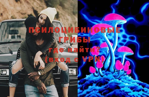 дмт Алексеевка