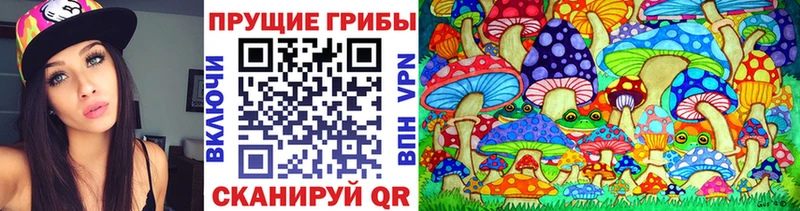 Псилоцибиновые грибы Cubensis  Дивногорск 